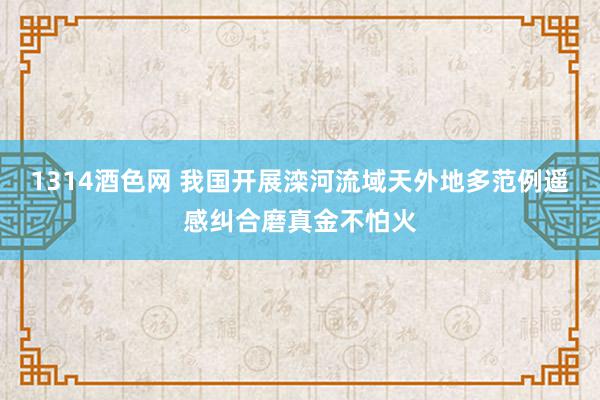 1314酒色网 我国开展滦河流域天外地多范例遥感纠合磨真金不怕火