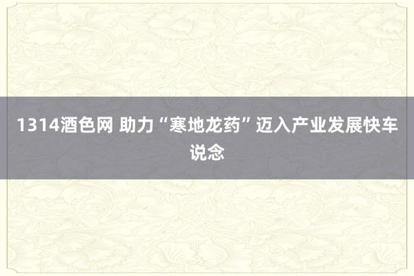 1314酒色网 助力“寒地龙药”迈入产业发展快车说念