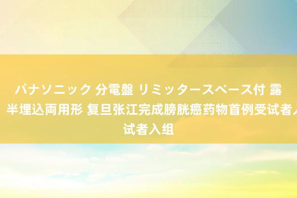 パナソニック 分電盤 リミッタースペース付 露出・半埋込両用形 复旦张江完成膀胱癌药物首例受试者入组