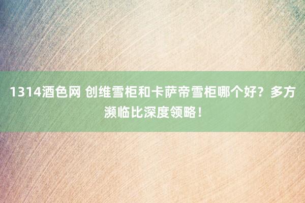 1314酒色网 创维雪柜和卡萨帝雪柜哪个好？多方濒临比深度领略！