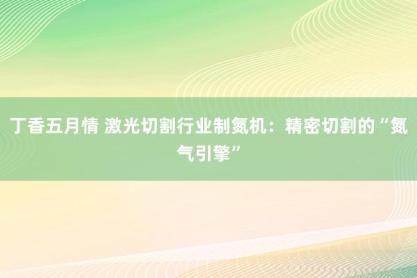 丁香五月情 激光切割行业制氮机：精密切割的“氮气引擎”