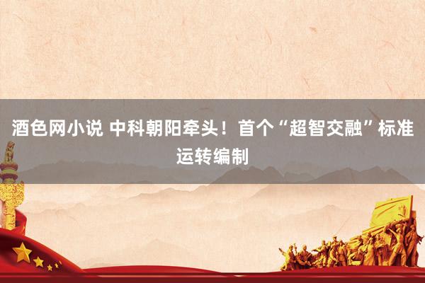 酒色网小说 中科朝阳牵头！首个“超智交融”标准运转编制