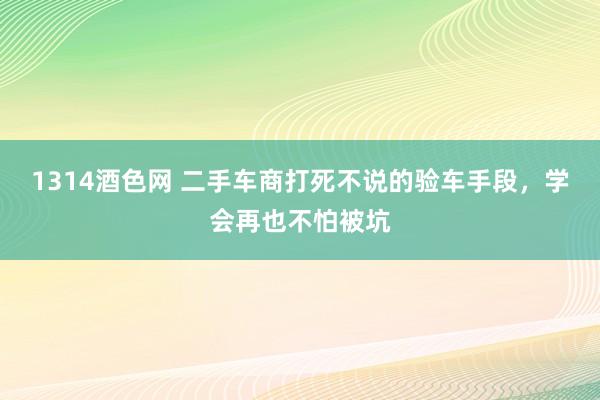 1314酒色网 二手车商打死不说的验车手段，学会再也不怕被坑
