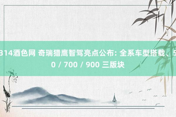 1314酒色网 奇瑞猎鹰智驾亮点公布: 全系车型搭载、500 / 700 / 900 三版块