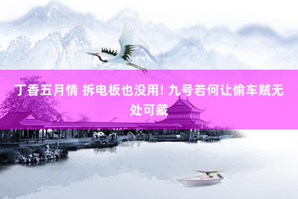 丁香五月情 拆电板也没用! 九号若何让偷车贼无处可藏