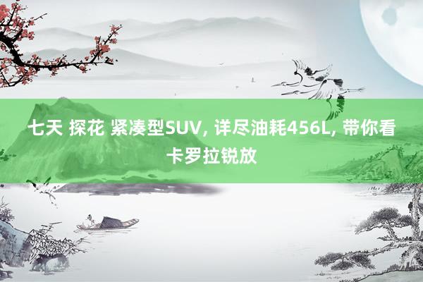 七天 探花 紧凑型SUV, 详尽油耗456L, 带你看卡罗拉锐放