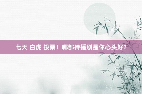七天 白虎 投票！哪部待播剧是你心头好？
