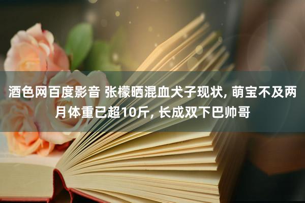 酒色网百度影音 张檬晒混血犬子现状, 萌宝不及两月体重已超10斤, 长成双下巴帅哥